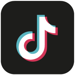Tiktok's icon